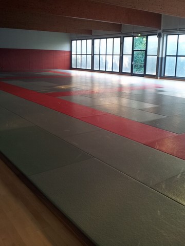 Dojo jujutsu valence